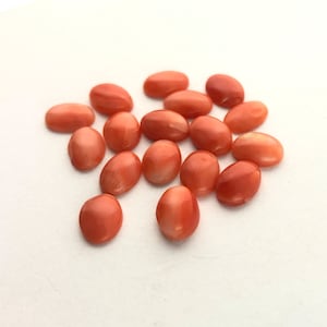 Cabujones de coral rojo salmón natural vintage, 7 x 5 mm, coral rojo mediterráneo, coral precioso fino, coral rojo, coral sin tratar, 2 piezas
