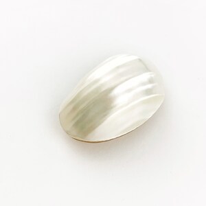 May include: A white oval-shaped shell with a rippled texture.