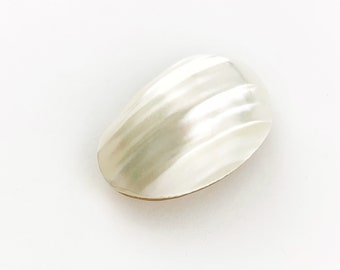 Large White Nautilus Pearl Oval Cabochon, White Striped Pearl Oval Cabochon, White Nautilus Pearl Oval Cabochon, Shell, 27x17mm, 1 Piece