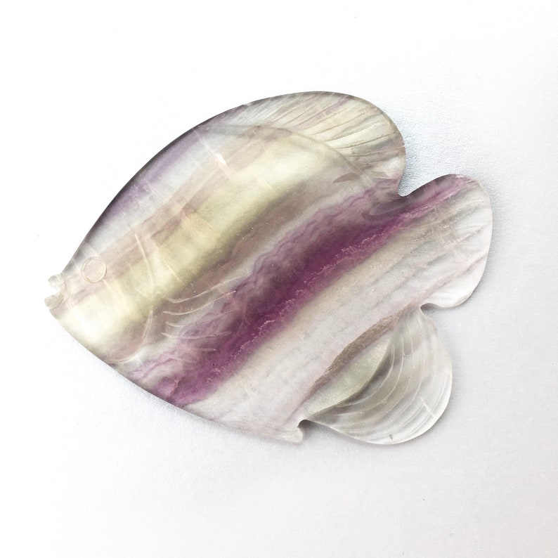 Large Fish Fluorite 4 inch Carving, 1 Piece image 5