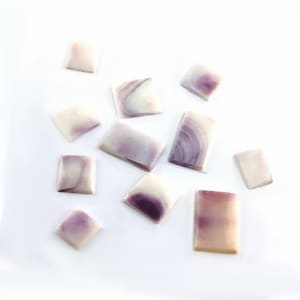 Rectangle Wampum Shell Hand Cut Cabochons 9 - 17mm