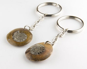 Ammonite Fossil Key Ring, Fossil Goniatite Key Chain, Devonian Fossil Specimen, Ancient Ammonite, Devonian Fossil Keychain, Fossil Keychain
