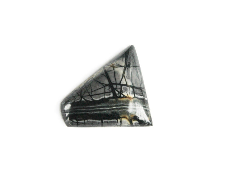 One of a Kind Large 54mm Free Form Picasso Jasper Cabochon
