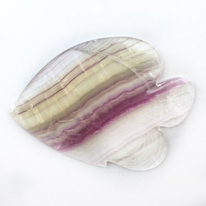 Large Fish Fluorite 4 inch Carving, 1 Piece image 1