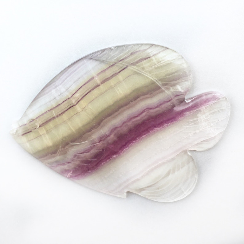 Large Fish Fluorite 4 inch Carving, 1 Piece image 1