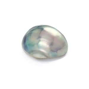 Può includere: Un guscio liscio, iridescente, di forma ovale con un motivo di colore blu, verde e bianco.
