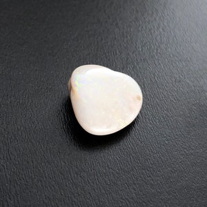 Fossilized Australian Opal Clam Shell, 1/2&quot; inch, 4.5 ct, Natural Fossil Clam, Opal Clam Shell, Fossil Opal, Australian Opal, Natural Opal