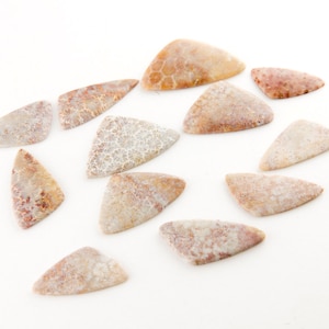 May include: A collection of 13 triangular shaped fossilized coral pieces in shades of white, pink, and brown. The coral pieces are smooth and have a natural, organic texture.