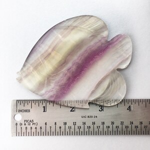 Large Fish Fluorite 4 inch Carving, 1 Piece image 3