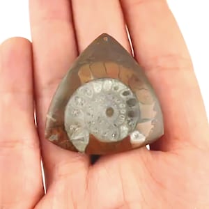 Ammonite Fossil Beads, Large Pendant Bead, 25-40mm, Gemstone Ammonite, Fossil Pendant, Fossil Ammonite, Front Drilled, 1 Piece