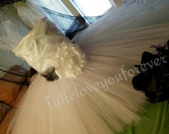 Princes tutu dress, Princess Tutu Costume, Princess Costume, Halloween Costume, Holiday Gift, Halloween Tutu Costume, Birthday Tutu dress