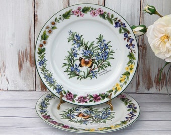 Royal Worcester Herbs Rosemary Pattern Dinner Plate Malvern