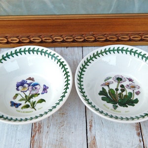 PORTMEIRION Flower Bowls Set of 2 BOTANIC GARDEN Susan Williams-Ellis Rim Cereal/Oatmeal Bowls 6.5&quot;, Floral Botanical Dishes, Easter