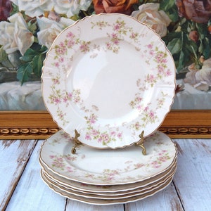 Syracuse STANSBURY Dinner Plates Set of 6, Syracuse Stansbury Federal Discontinued Vintage China, Floral Plates, Thanksgiving Plates