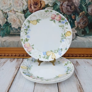 CORELLE CHUTNEY Plates Set of 4, Corelle Corning Dinner Plates 10.25&quot; Fruit Border Swirl Rim Discontinued Pattern