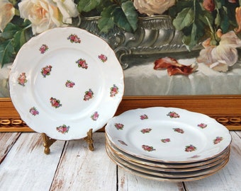 Reichenbach GDR Plates Set of 6, Floral Plates, Salad Plates, Cake Plates Scalloped Embossed Rim Gold Trim, Thanksgiving