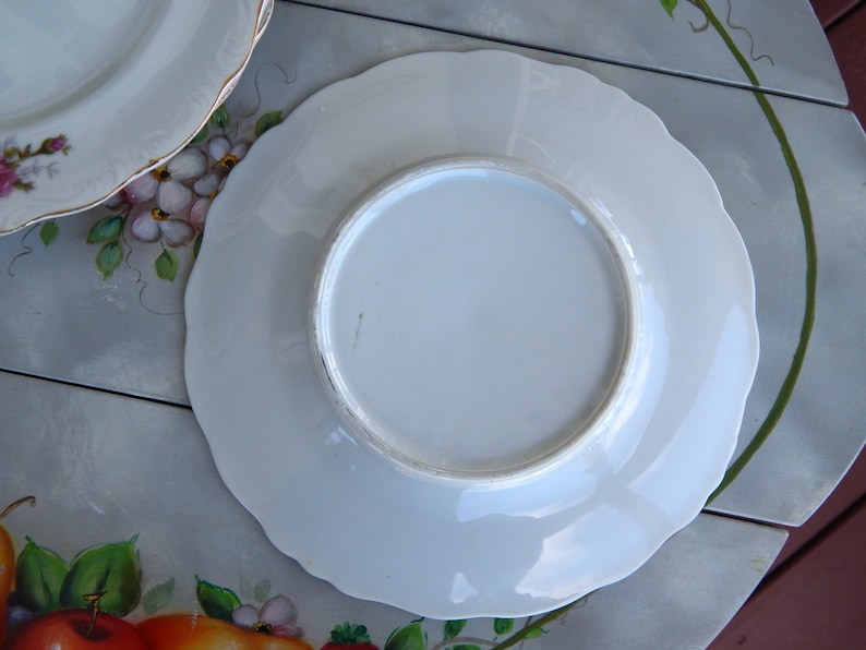 Pink Roses Plates Set of 4 Salad Plates 8 Pink Roses Etsy