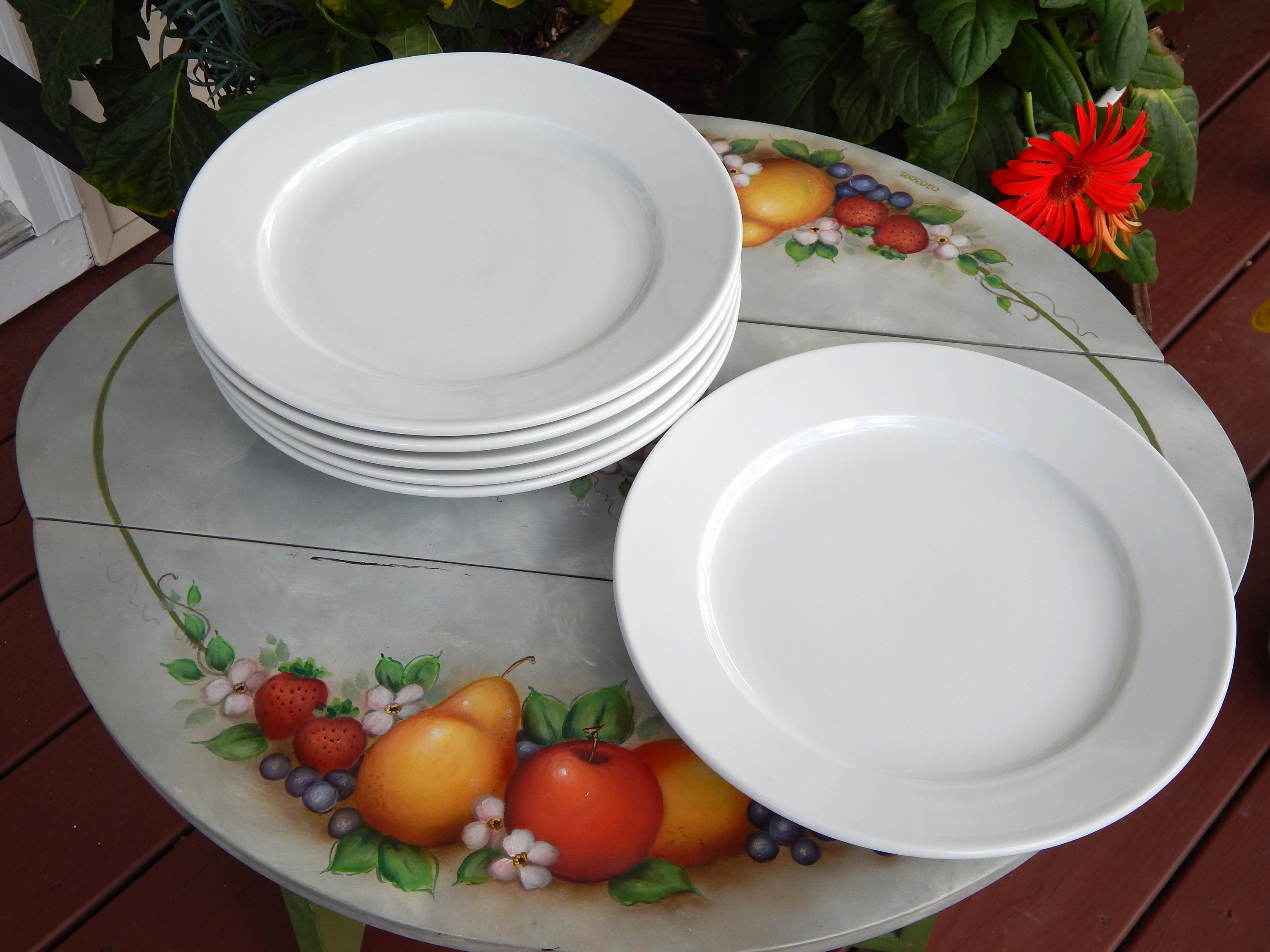 WILLIAMS SONOMA Everyday White Dinner Plates Set of 6, Plain White Plates 9  3/4 Discontinued Williams Sonoma Restaurant Everyday Dinnerware