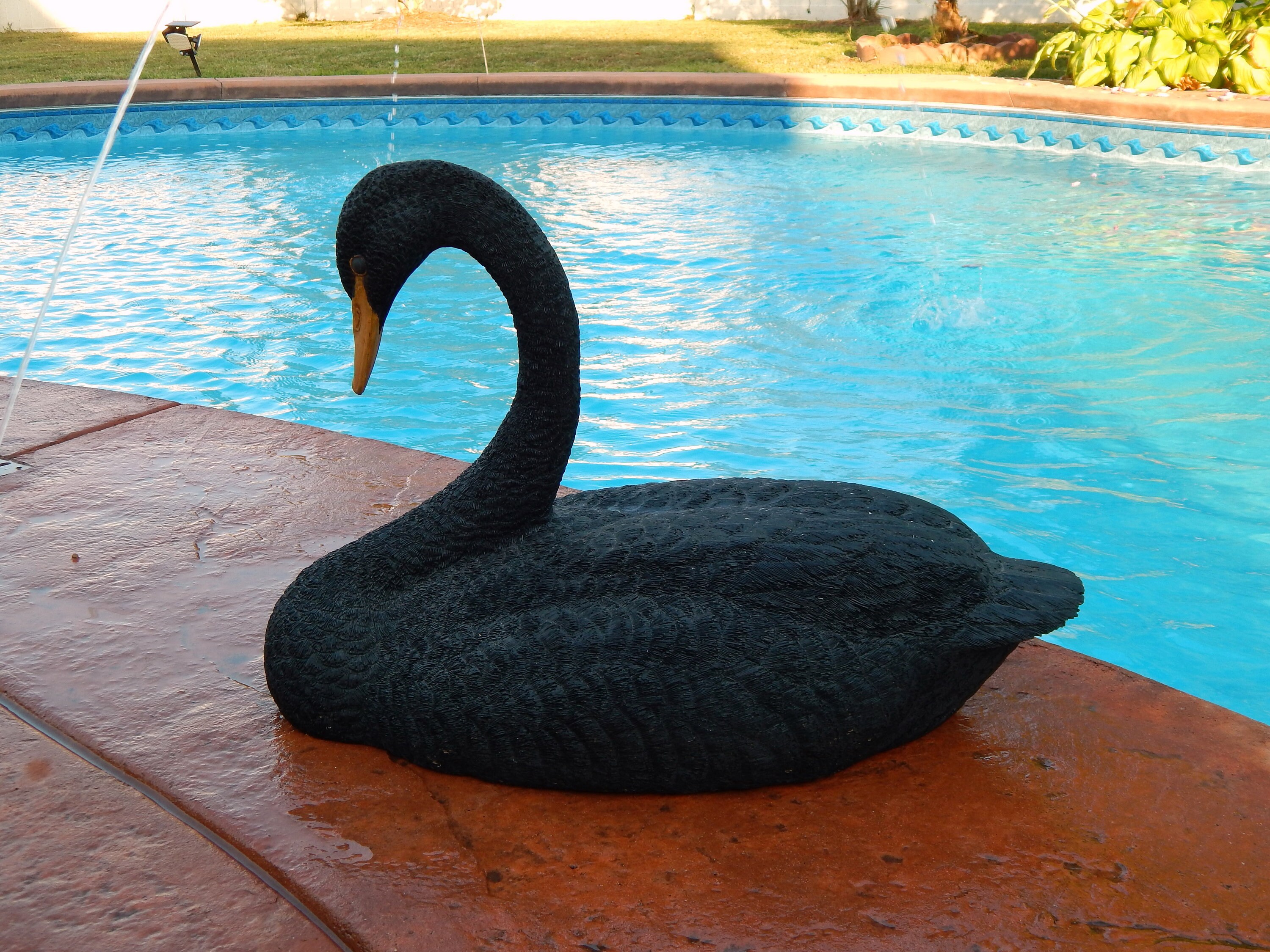 Vintage Black Swan B. ACKISS Talton Composite Carving, Large Black