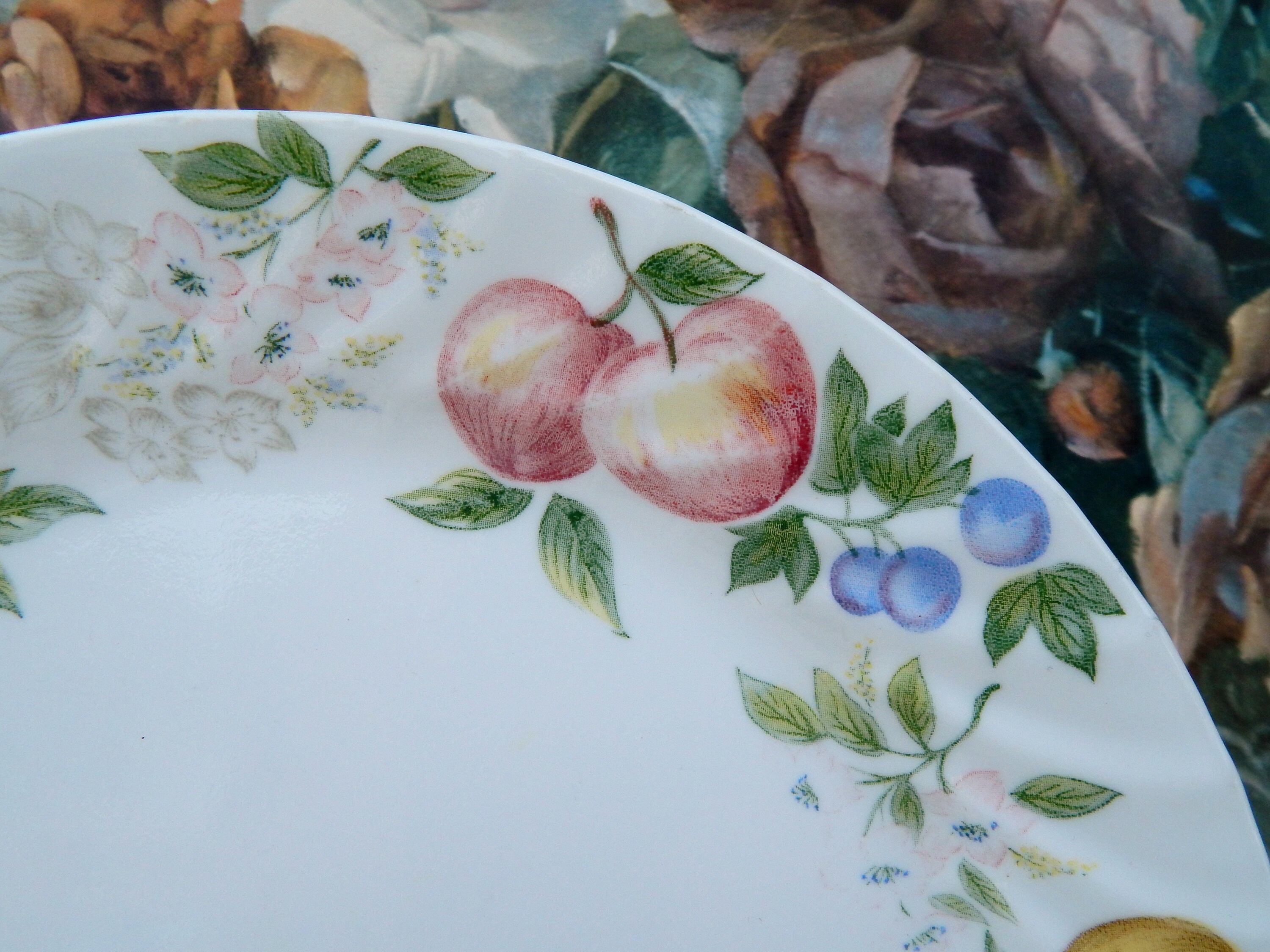 CORELLE CHUTNEY Plates Set of 4, Corelle Corning Dinner Plates