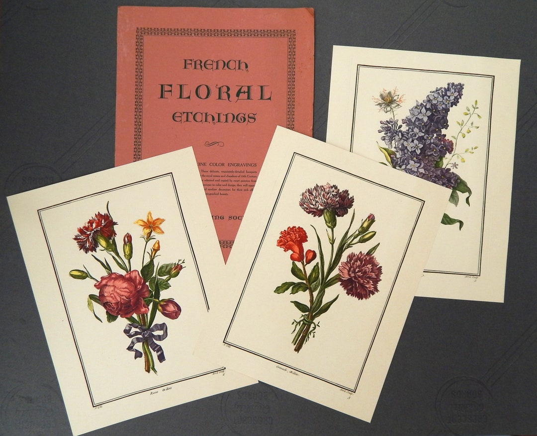 French Floral Etchings, Antique Color Engravings Set of 3 PARIS ETCHING