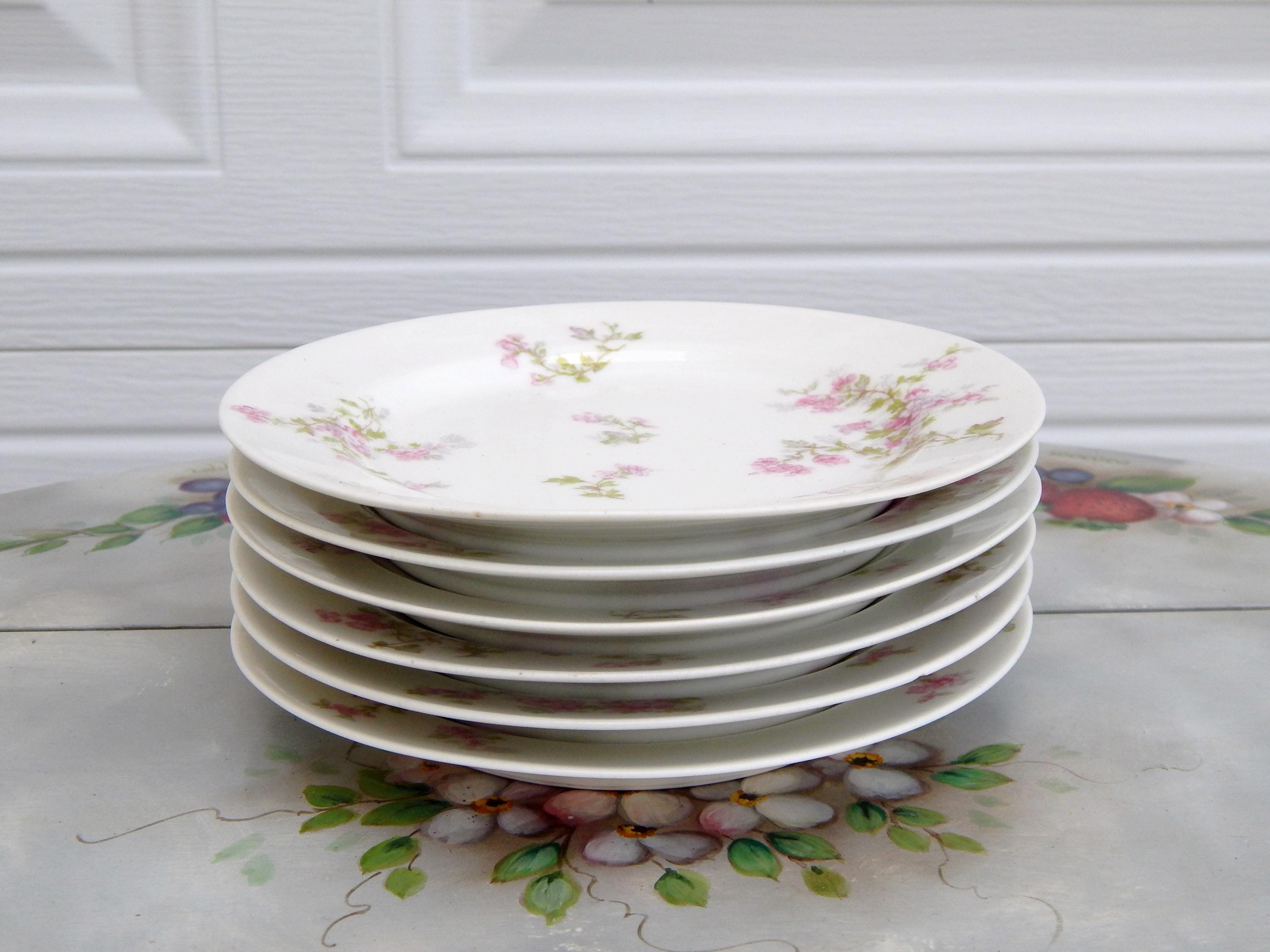 LIMOGES HAVILAND France Plates Schleiger 29a Set of 6 