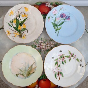 Antique French Plates Hand-Painted H&Co Set of 4, Hand-Painted Plates Green Blue Pink Flowers Bees