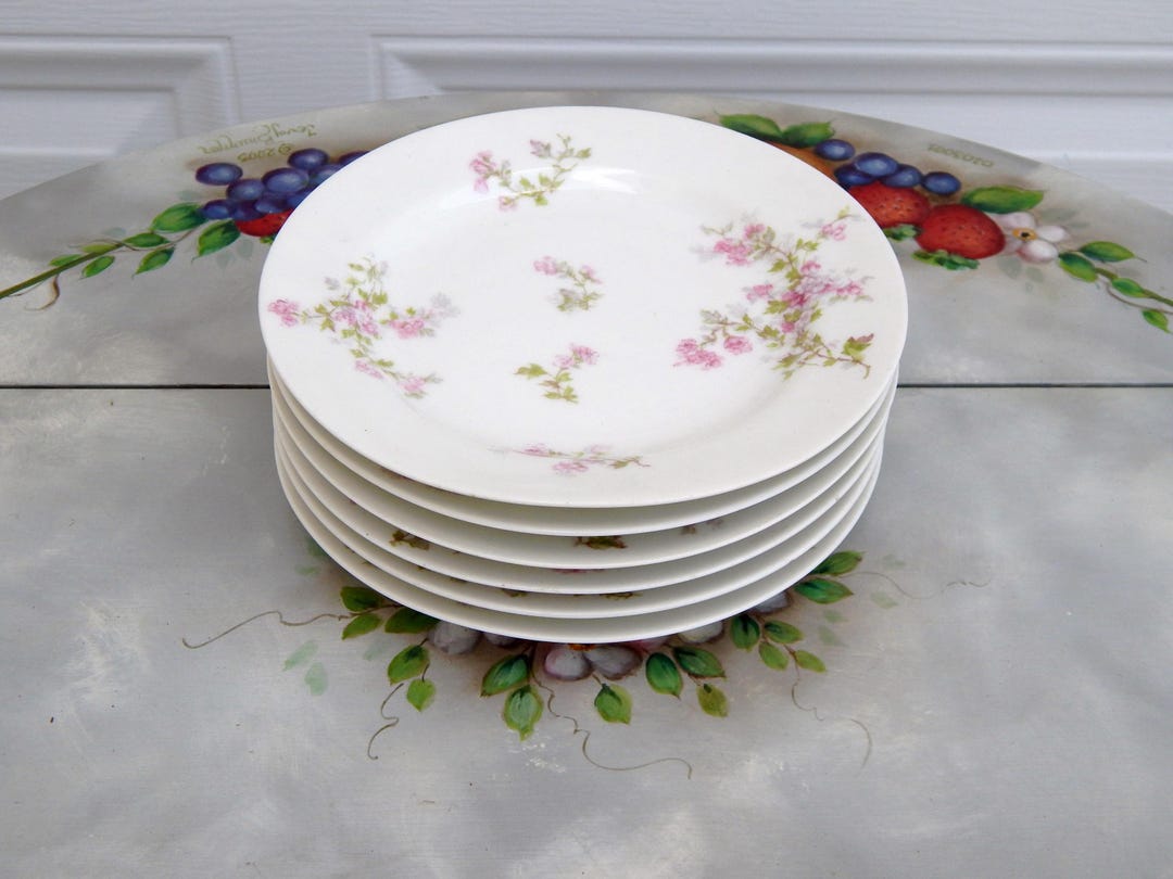 LIMOGES HAVILAND France Plates Schleiger 29a Set of 6 