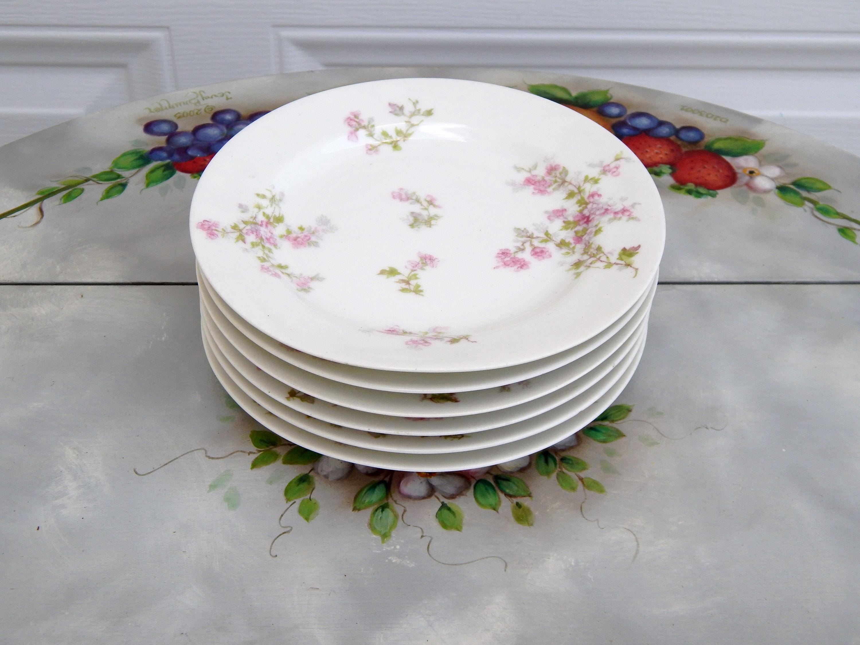 Leclair Limoges France 花柄皿 6枚セット LIMOGES HAVILAND France Plates Schleiger 29a Set of 6 