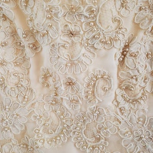 Ivory White Chiffon Intricate Embroidered Straight Cut Elegant Festive Wear