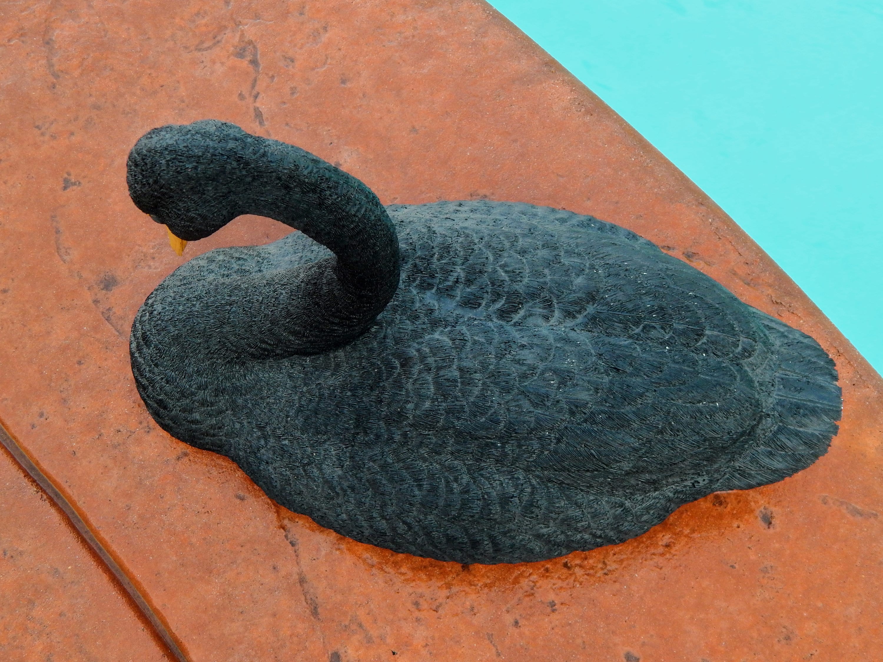 Vintage Black Swan B. ACKISS Talton Composite Carving, Large Black