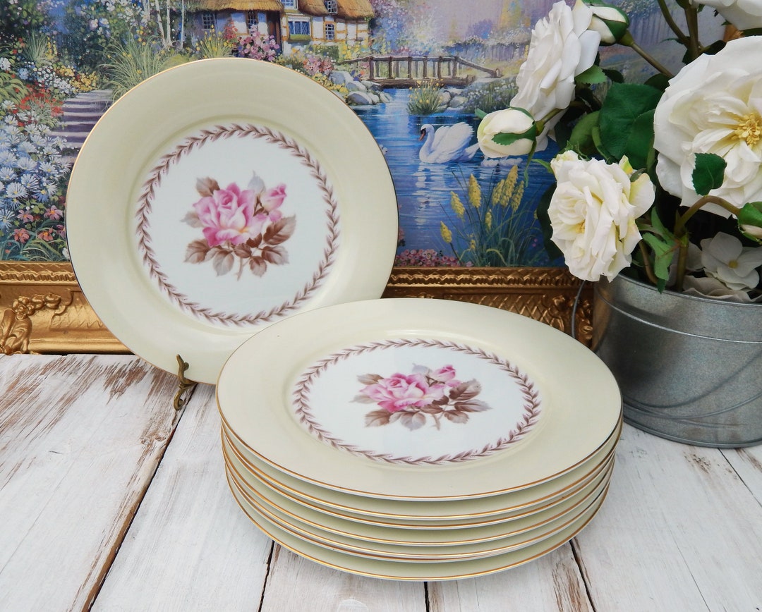 Floral Plates NORITAKE Japan N212 Pink Roses Dinner Plates 10.5