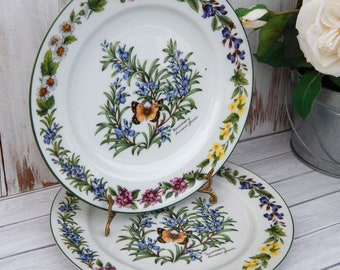 ROYAL WORCESTER Herbs Rosemary Dinner Plates Set of 2 RARE