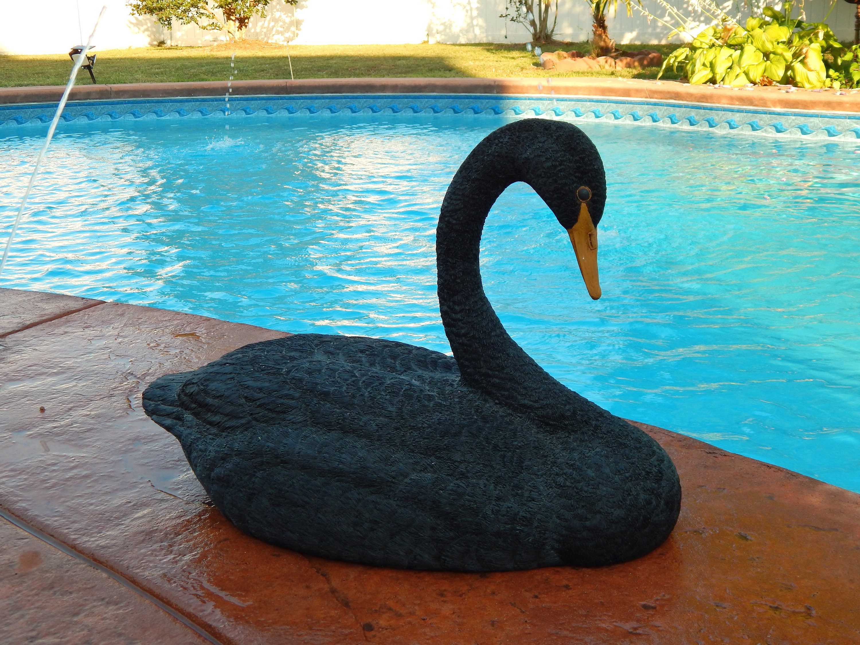 小物 WILD SWANS ELSTON BLACK (85cm/34inch) 小物 WILD SWANS ELSTON BLACK (85cm/34inch) 小物 WILD SWANS ELSTON