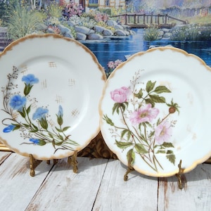 Antique LIMOGES Plates H & Co L Haviland Limoges France Victorian Hand-Painted Plates Pink and Blue Flowers