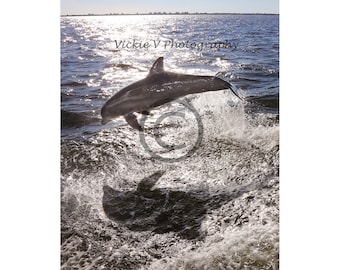 May include: A dolphin leaps out of the water, creating a spray of water droplets. The dolphin is silhouetted against the bright sunlight reflecting off the water.