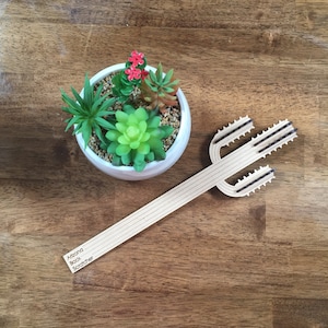 Arizona Saguaro Back Scratcher Gift