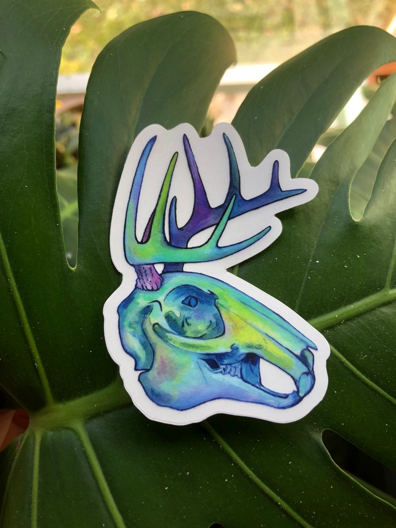 Jackelope Skull Clear Vinyl Sticker 3x2.3 image 2