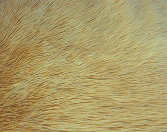 Pelliccia sintetica pelosa CAMMELLO, pelo di peluche, 18"x30" per foto, riempitivo per cestini, costumi, rifiniture in pelliccia, tessuto per cuscini, fondali, forniture artigianali – NonnaMiaCC Furs