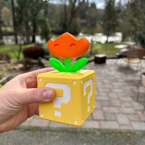 Super Mario bros. Fire flower succulent box and game room decoration.