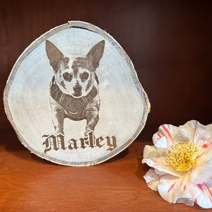 Personalized Pet Engraving on a Tree Slice, Your cat/dog/bird/animal laser engraved on a wood round, custom wood art
