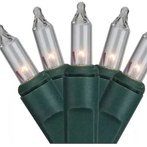 May include: A string of clear Christmas lights with green wire. The lights are small and have a warm white glow.