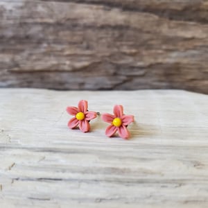 Cute Flower Earrings, Titanium Posts, Sensitive Ears, Flower Studs, Hypoallergenic Studs, Choose Your Color