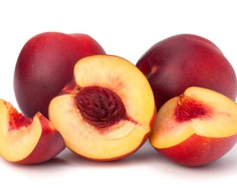 1/2 Ounce Nectarine Flavor Oil