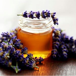 1/2 Ounce Lavender Honey Flavor Oil