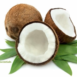 1/2 Ounce Coconut Flavor Oil