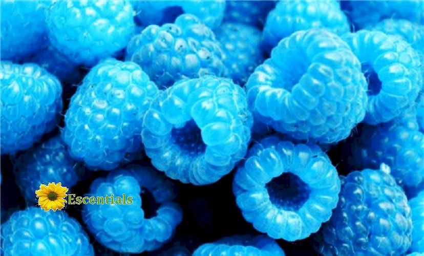 1/2 Ounce Blue Raspberry Flavor Oil Etsy