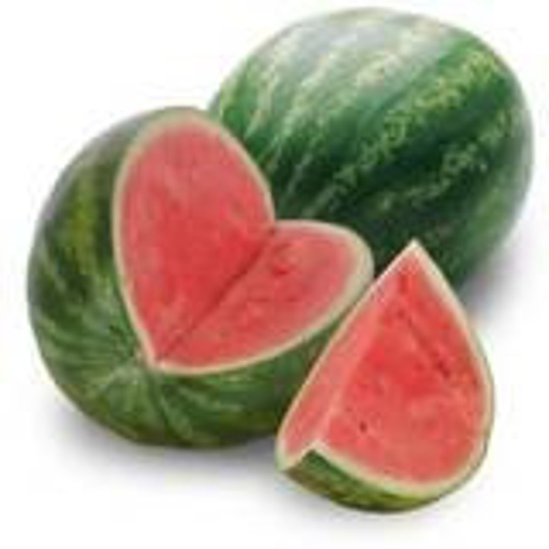1/2 Ounce Watermelon Flavor Oil Etsy