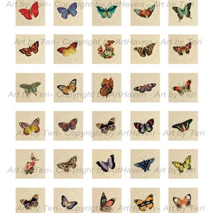 Digital Download - Vintage Butterflies Collage Sheet - Inch Circles - Printable - instant download -  invitation - bottle cap - butterfly