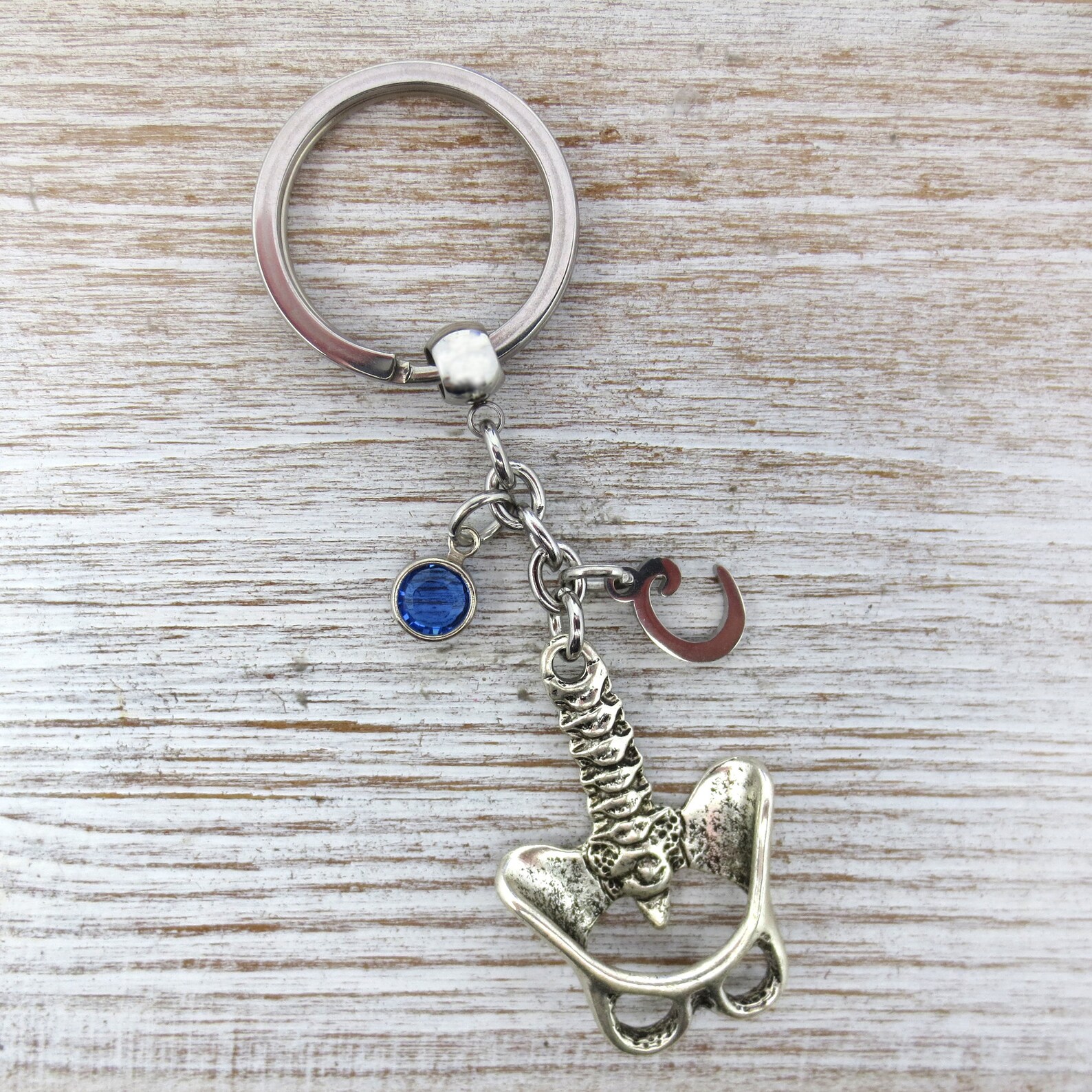 Spine Keychain Anatomy Keychain Silver Spine Charm Etsy